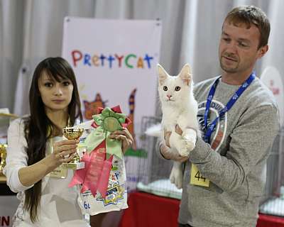 �������� ����� 22-23 ������ 2014, ������������ ��� �������� ����� 22-23 ������ 2014  ������������ ��� 169A9044 copy.jpg